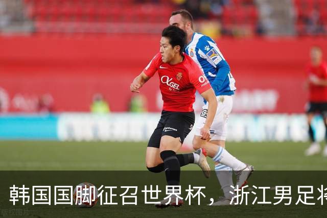 韩国国脚征召世界杯，浙江男足将获得可观补偿